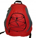 16.5" Backpack